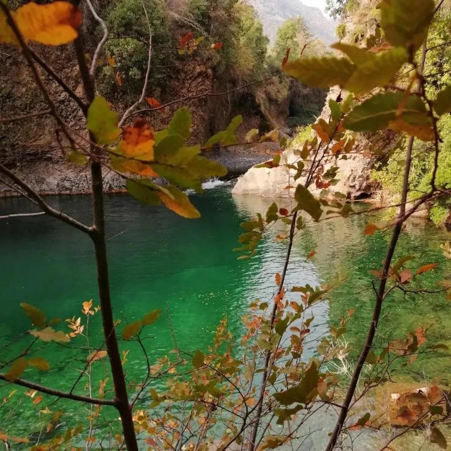 Refugio Del Salto -Radal 7 Tazas Villa โมลินา ภายนอก รูปภาพ