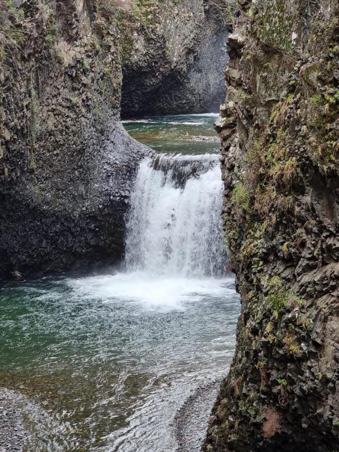 Refugio Del Salto -Radal 7 Tazas Villa โมลินา ภายนอก รูปภาพ